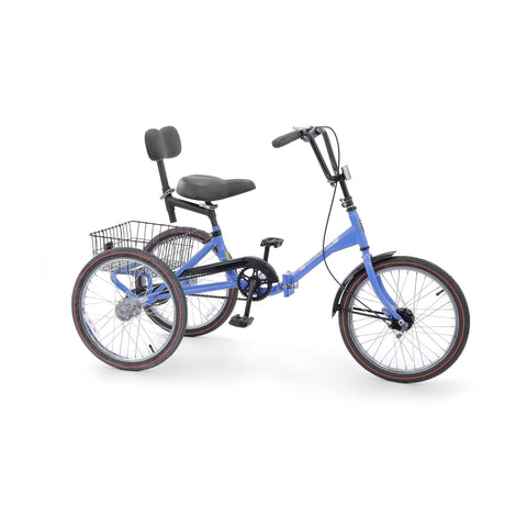 Developmental Youth Trike - Single Speed, Front Caliper Brake, Coaster Brake