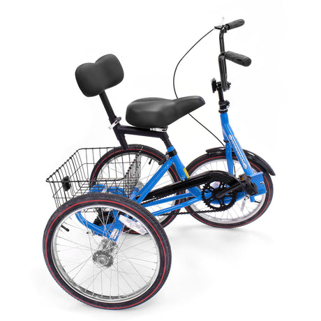 Developmental Youth Trike - Single Speed, Front Caliper Brake, Coaster Brake