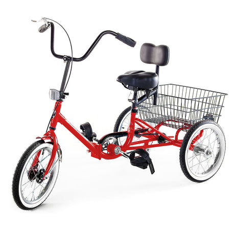 Developmental Youth Trike - Freewheel w/ Front Caliper Brake