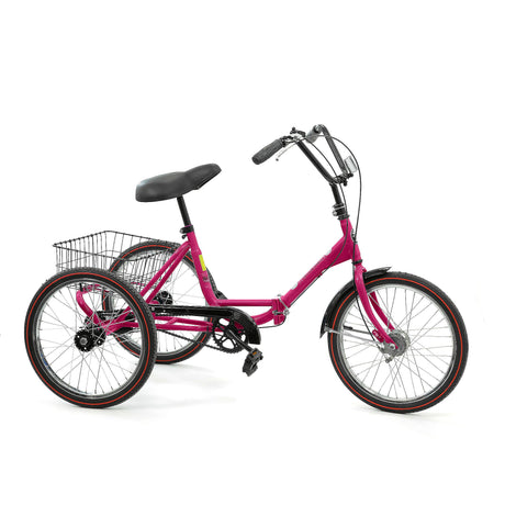 Developmental Youth Trike - Single Speed, Front Caliper Brake, Coaster Brake