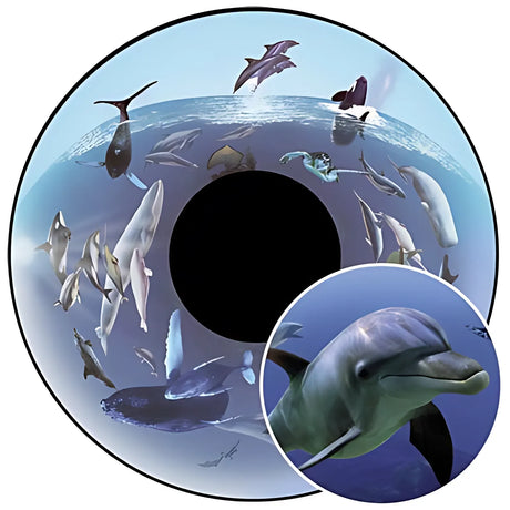 Whales Solar Effect Wheels