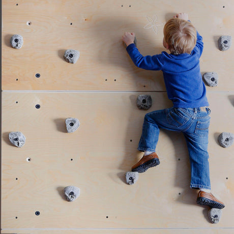 Adjustable Indoor Rock Climbing Wall