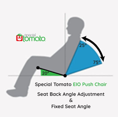 Special Tomato EIO Stroller Push Chair - Adaptive Stroller